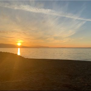 Meet your Posher, Sophie